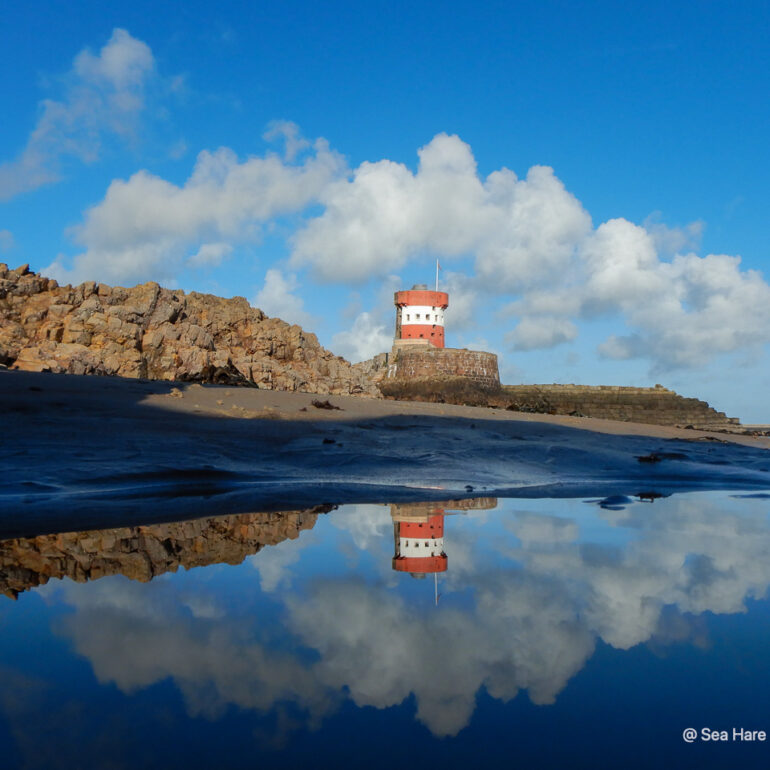 © Sea Hare Photography