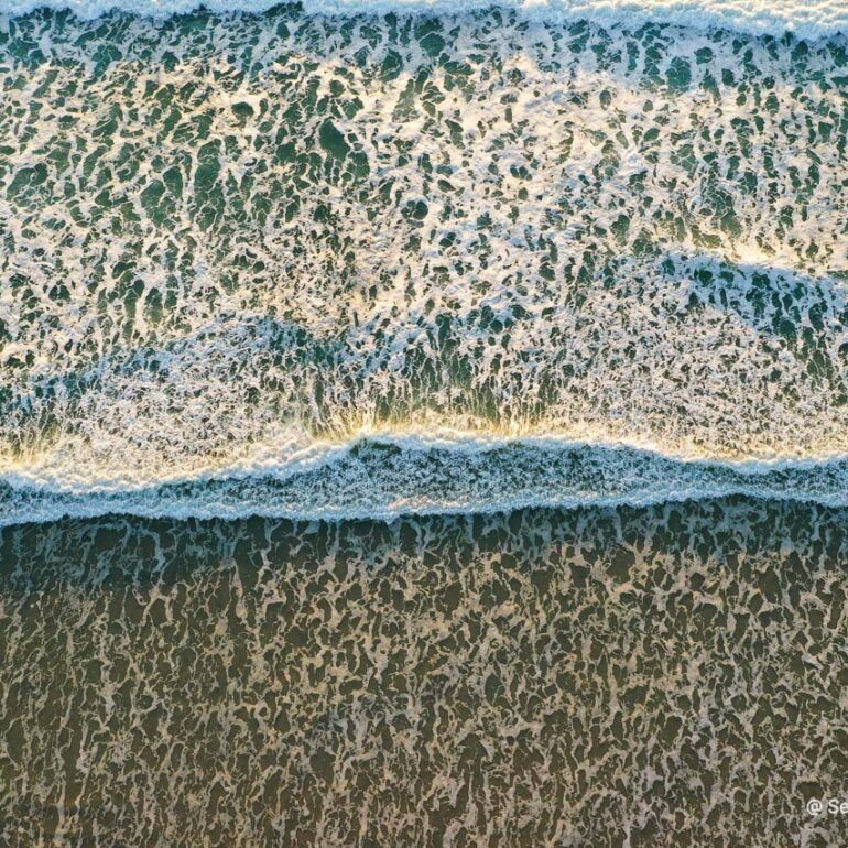 © Sea Hare Photography