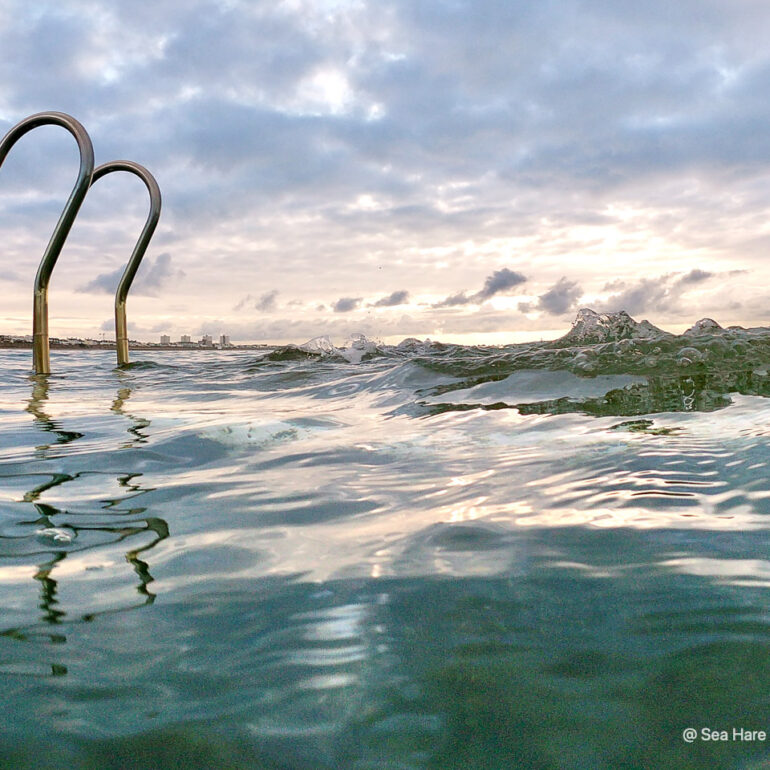 © Sea Hare Photography