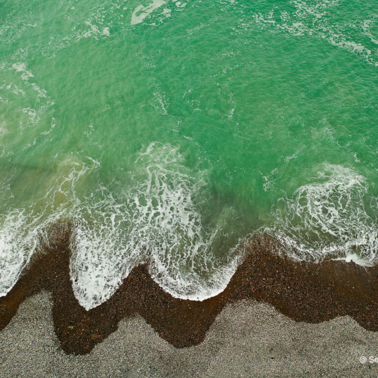 © Sea Hare Photography
