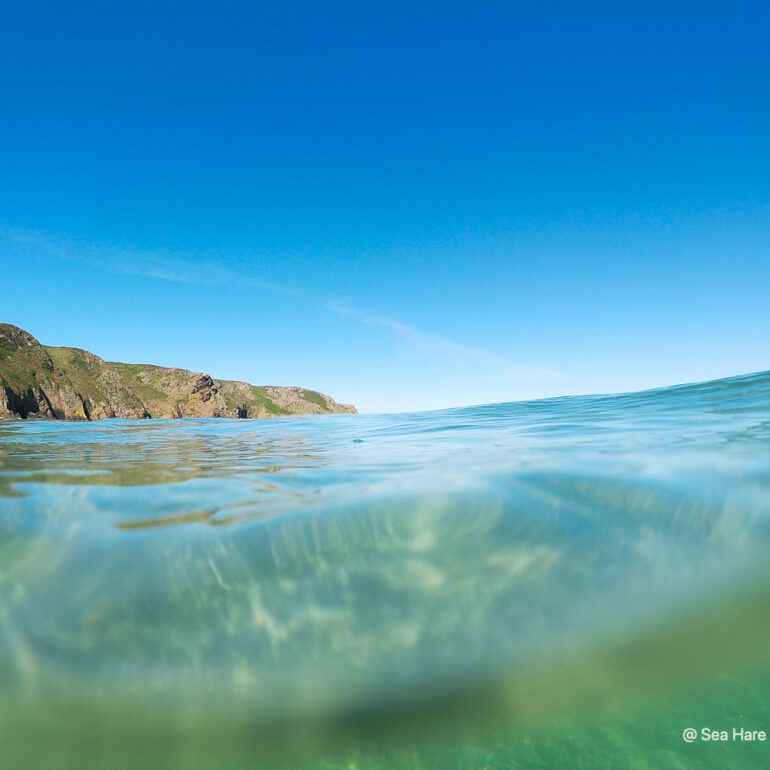 © Sea Hare Photography