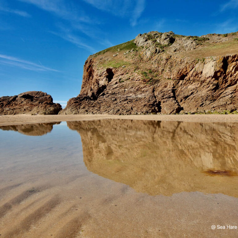 © Sea Hare Photography
