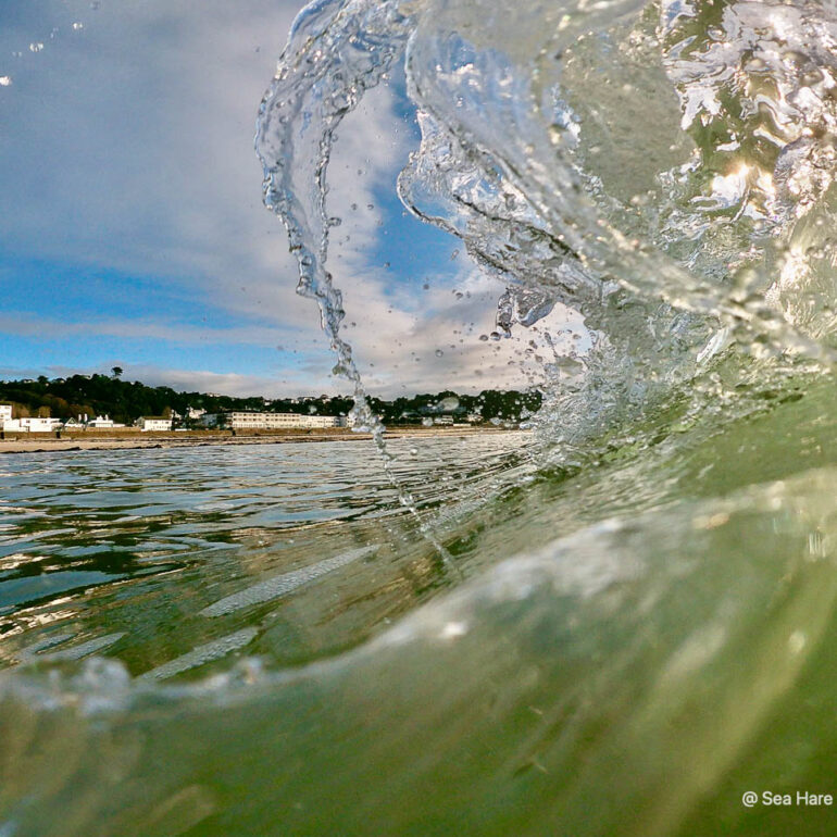 © Sea Hare Photography